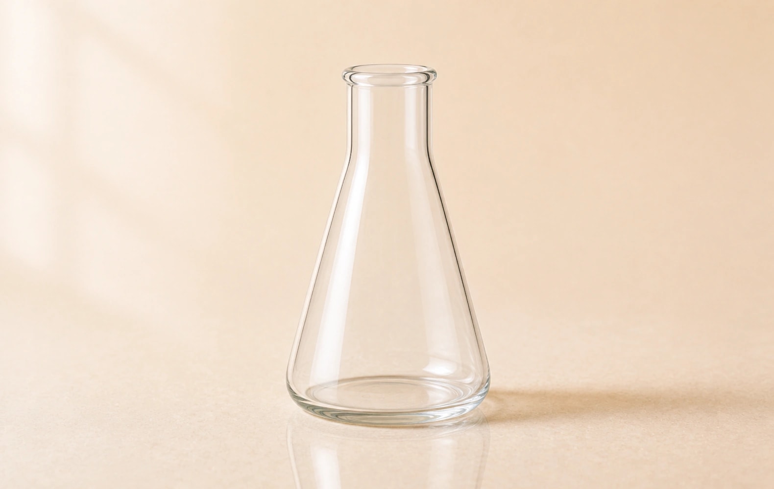 Erlenmeyer Flasks