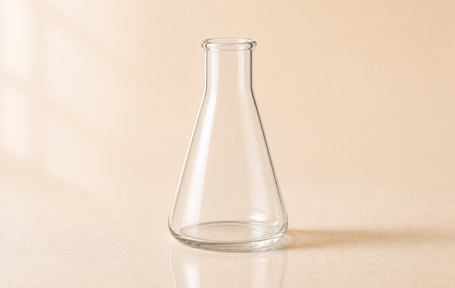Erlenmeyer Flasks
