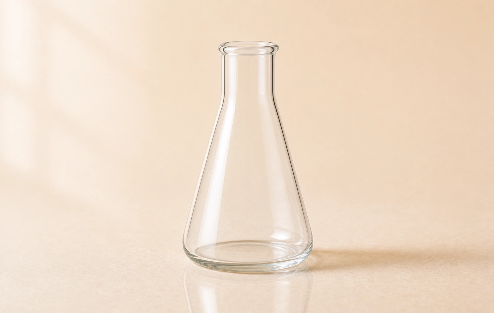 Erlenmeyer Flasks